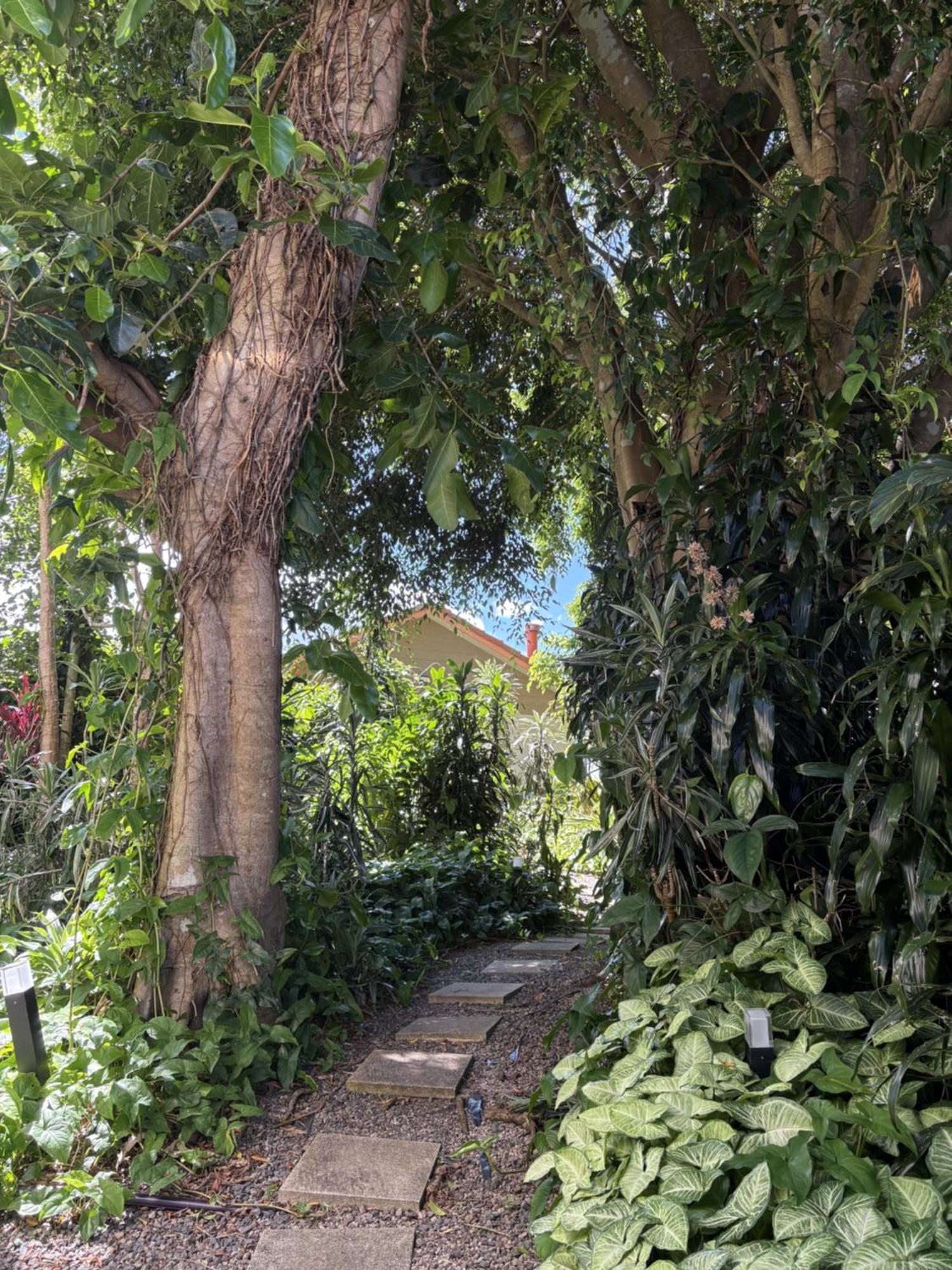Maleny Terrace Cottages Buitenkant foto